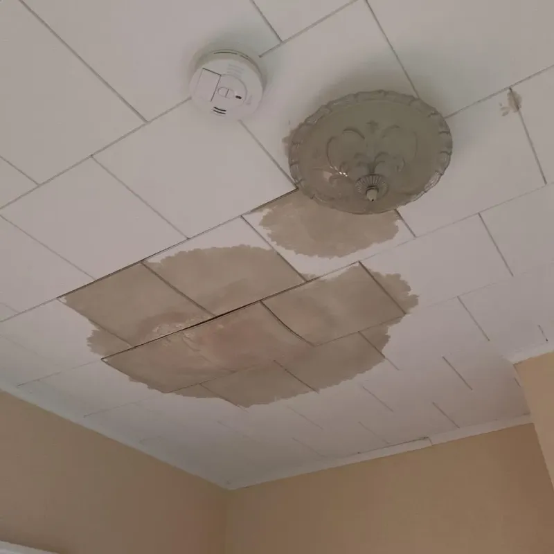 Ceiling Water Damage Repair in Windham, CT