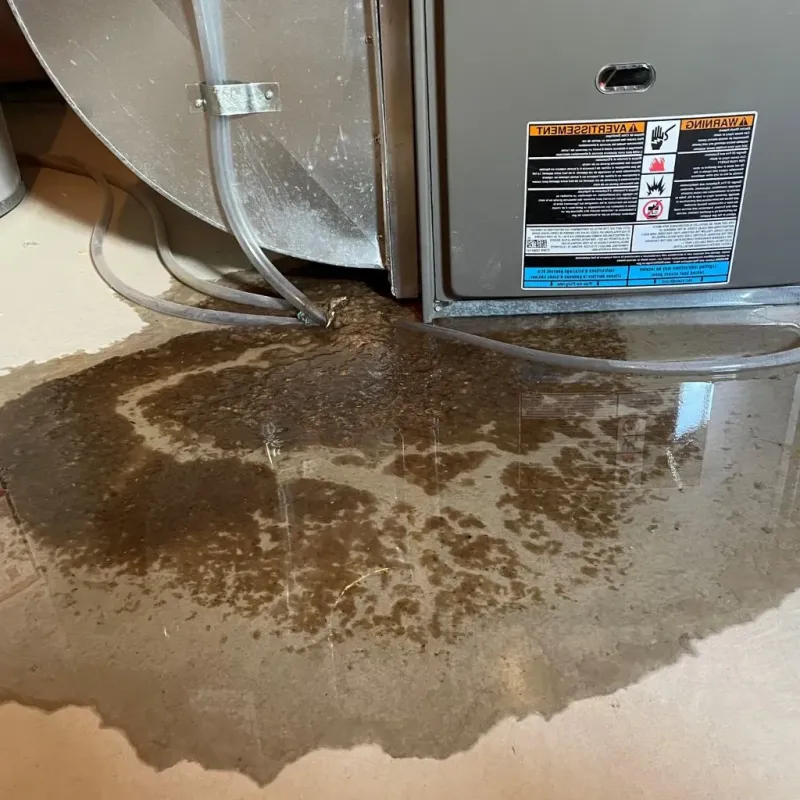 Pipe Burst and Leak Restoration in Windham, CT