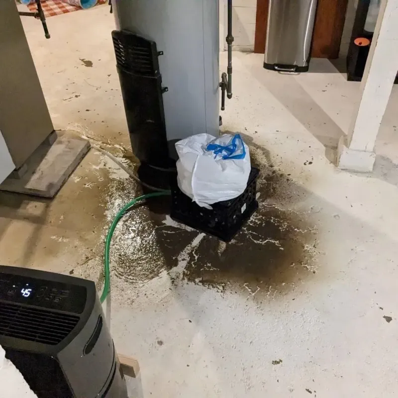Sewage Backup Cleanup Service in Windham, CT